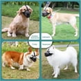 thumbnail image 5 of Pet Dog Muzzles Adjustable Breathable Dog Mouth Cover Anti Bark Bite Mesh Dogs Mouth Muzzle Mask For Dogs Long Mouth Doggy Use, 5 of 8