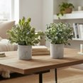 thumbnail image 2 of Artificial Plant In Cement Pot Asstd - Set of 2, 2 of 3