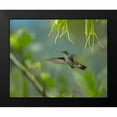thumbnail image 2 of Fitzharris, Tim 14x12 Black Modern Framed Museum Art Print Titled - Andean Emerald Humming Bird, 2 of 5