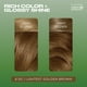 thumbnail image 4 of Tinte para el cabello Clairol Natural Instincts Demi-Permanent 6.5G x3, 4 of 9