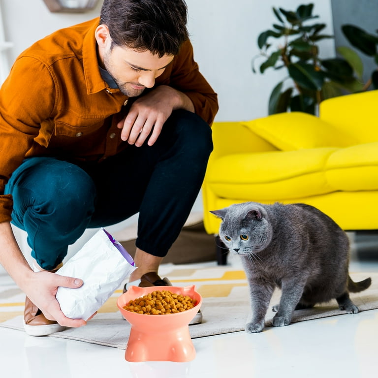 sixwipe 3 Pcs Plastic Tilted Cat Food Bowls Tilted Elevated Cat Bowls for Food and Water Cat Bowl for Indoor Cat Stress Free Backflow Prevention