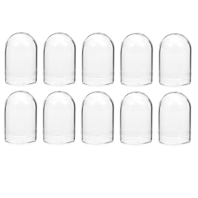 10pcs Cubiertas de vidrio de flores frescas conservadas de 10 piezas cubiertas de vidrio de regalo de bricolaje