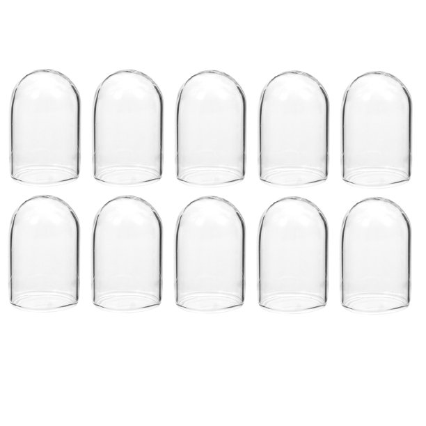 10pcs Cubiertas de vidrio de flores frescas conservadas de 10 piezas cubiertas de vidrio de regalo de bricolaje