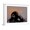 White Frame, variant on Art.com Thinker Monkey Giclee Print by The Graffiti Collection, White Frame Wall Art, 21" x 17"