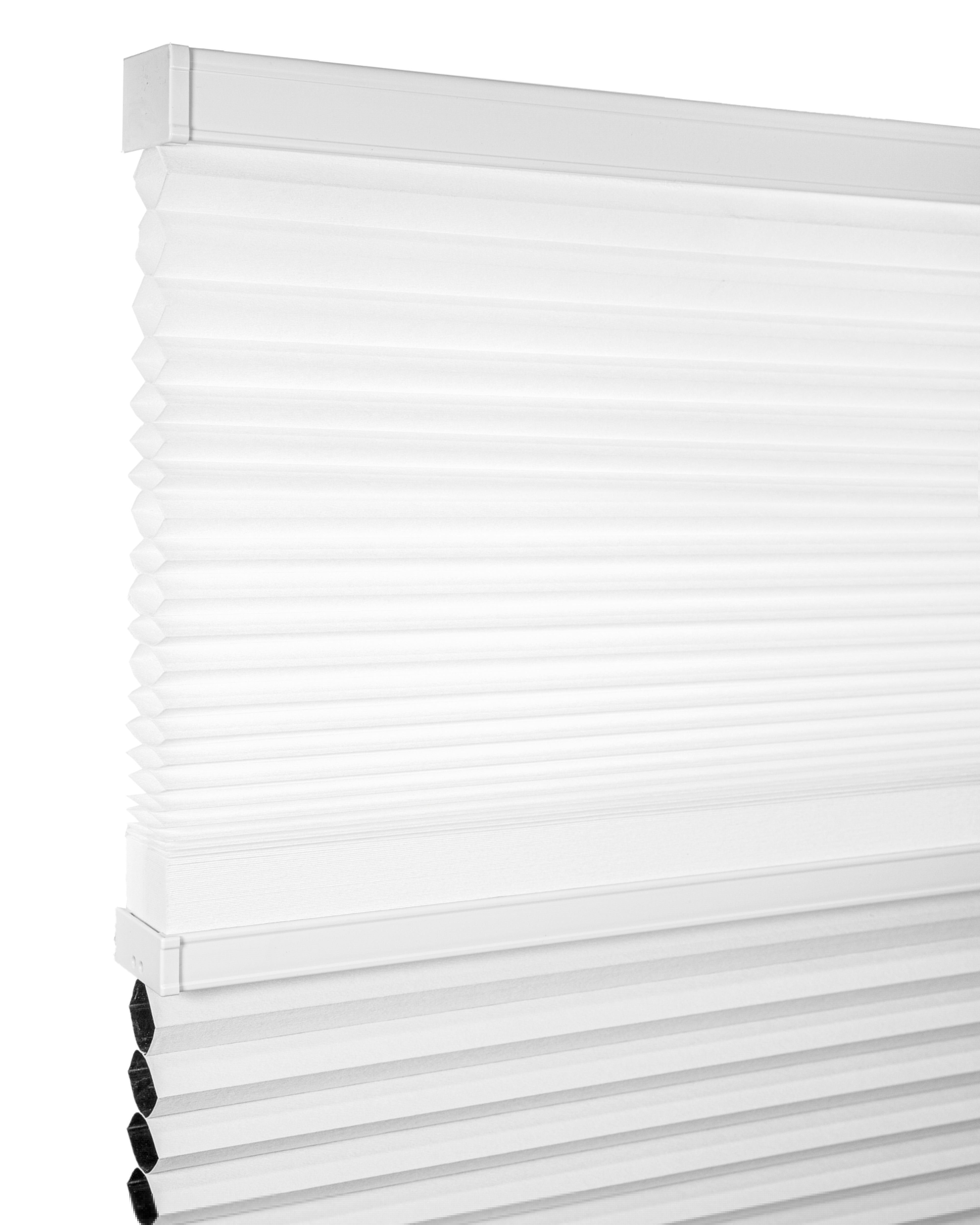 Chicology Day N' Night Cordless Cellular Shades, Cotton, 52" X 48"