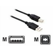 V7 - USB cable - USB (M) to USB Type B (M) - USB 2.0 - 6 ft