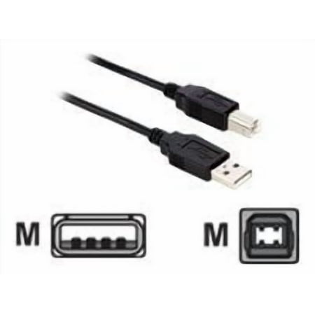 V7 - USB cable - USB (M) to USB Type B (M) - USB 2.0 - 6 ft