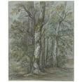 thumbnail image 2 of Jan Dasveldt 15x17 Gold Ornate Wood Frame and Double Matted Museum Art Print Titled - Tree Study (1780 - 1855), 2 of 4