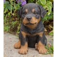 thumbnail image 1 of Cachorro rottweiler de Sculpture Hi-Line Gift Ltd, 16,5 cm, 1 of 6