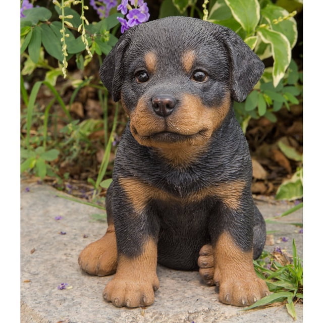 Cachorro rottweiler de Sculpture Hi-Line Gift Ltd, 16,5 cm