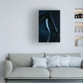 thumbnail image 2 of Erik Schottstaedt 'Blue Velvet' Canvas Art, 2 of 4