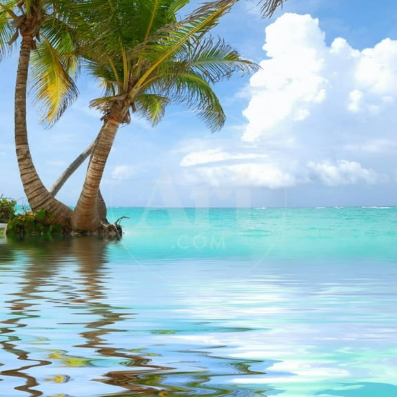 Beautiful Caribbean Beach in Dominican Republic Reflection in Water, Unframed Photographic Print Wall Art by haveseen Sold by Art.Com