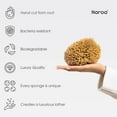 thumbnail image 3 of Sea Sponge Naroa Soft Natural X Large for Bathing, 3 of 7