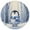 Cute Penguin in Winter, variant on 15 Inch Round Grid Plate Mats Heat Non-Slip Resistant PVC Placemats for Kitchen Dining Table Decor Cute Penguin in Winter 1PCS