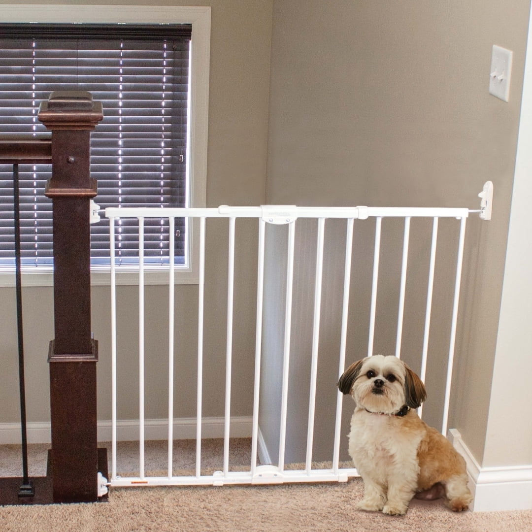 North States MyPet Wide Metal ClearPath Staircase and Hallway Pet Gate, Expands to 47.85" Wide