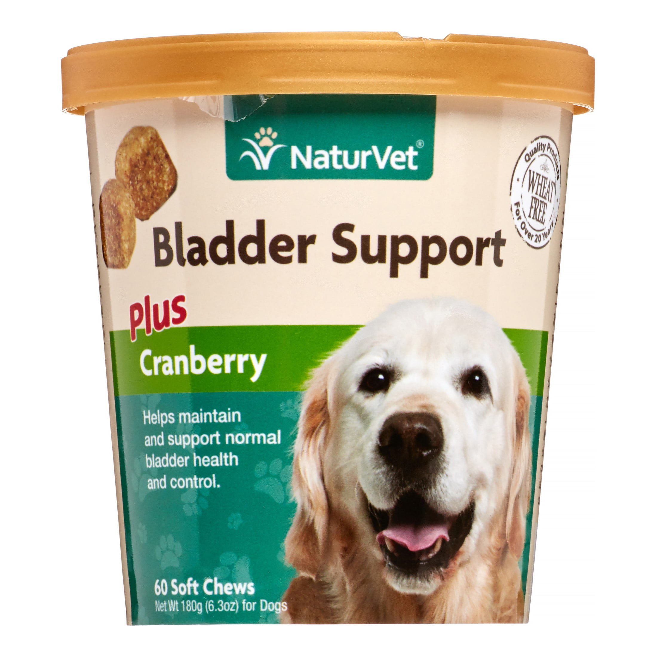 uti medicine for dogs walmart