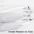 thumbnail image 2 of Almohada para dormir puredown® Goose Feather Down Soft Queen x2, 2 of 6