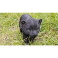 thumbnail image 2 of Hi- Line Gift 87696-B Black Panther Cub Statue, 2 of 7