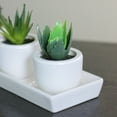 thumbnail image 2 of Northlight 3.5" Succulent Artificial Potted Plant Table Top Decoration - Green/White, 2 of 2