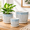 Blue, variant on Blue Ceramic 3-Pot Plant Planter Set With Drainholes And Saucers For Indoor Outdoor Garden