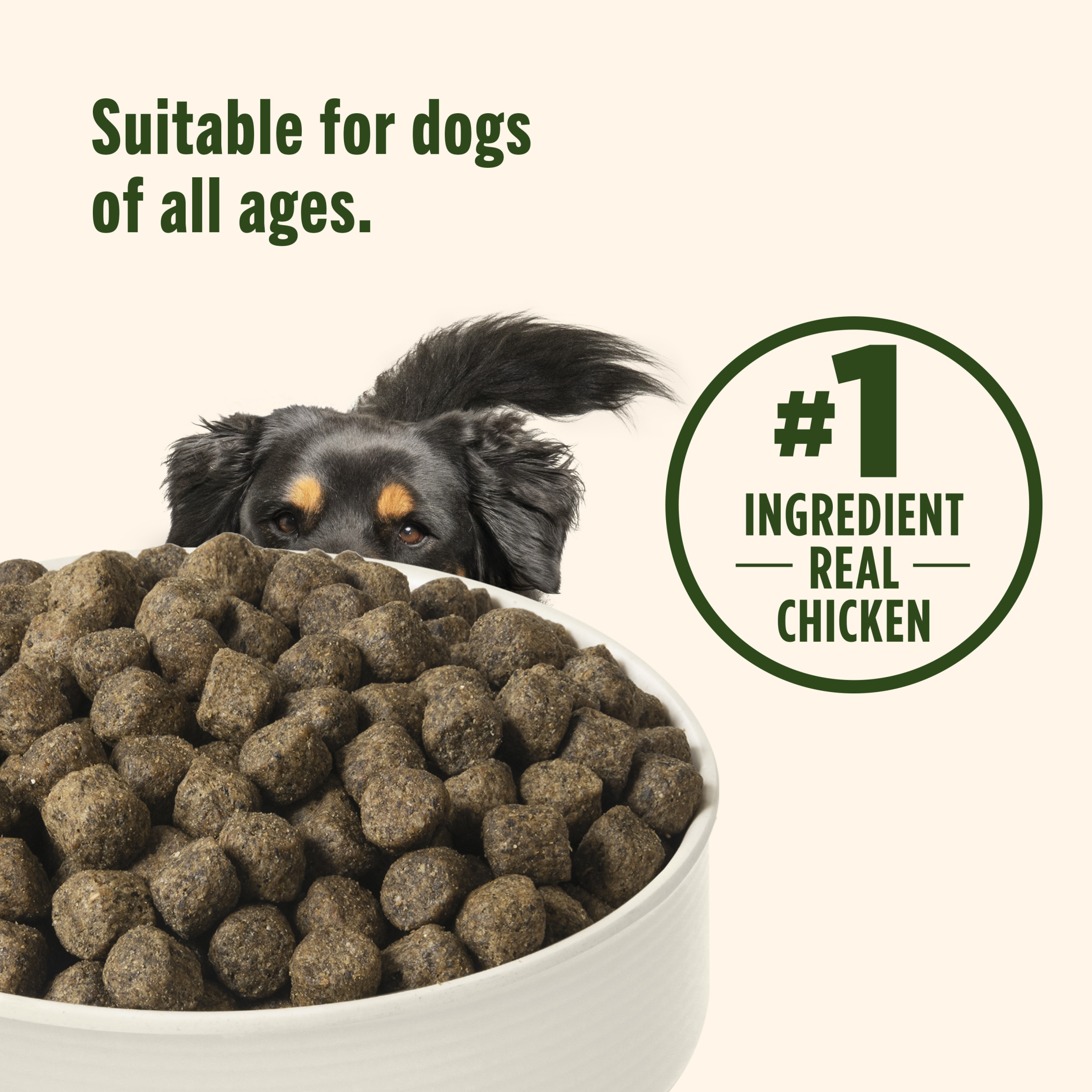Nutrish Grain-Free Chicken Sweet Potato Dog Food by Rachael Ray photo 5