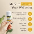 thumbnail image 2 of Pranarom - Uplift Essential Oil Blend (5ml) - Mandarin, Sweet Orange, Ylang Ylang, Patchouli, Blue Tansy - 100% Pure Essential Oil for Energy and Positivity | USDA and ECOCERT Certified Organic, 2 of 4