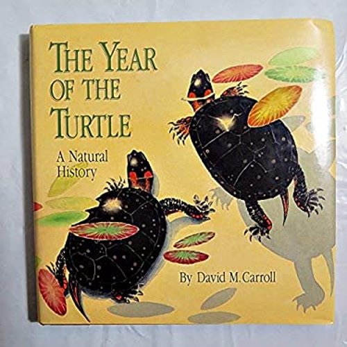 Pre-Owned The Year of the Turtle: A Natural History (Hardcover) 0944475116 9780944475119