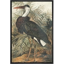 PixonSign Framed Canvas Print Wall Art Fine Art Tropical Swamp Heron Bird Nature Wilderness Illustrations Modern Art Botanical Floral Farmhouse/Country Relax/Calm/Cozy - 16"x24" Black