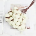 thumbnail image 2 of 10PCS Artificial Cotton Flowers Antique Cotton Stems Farmhouse Decorations Fake Fall Vase Filler White Dried Cotton Plant Decor for Home Wedding Party Kitchen DIY Floral Arrangement, 2 of 8