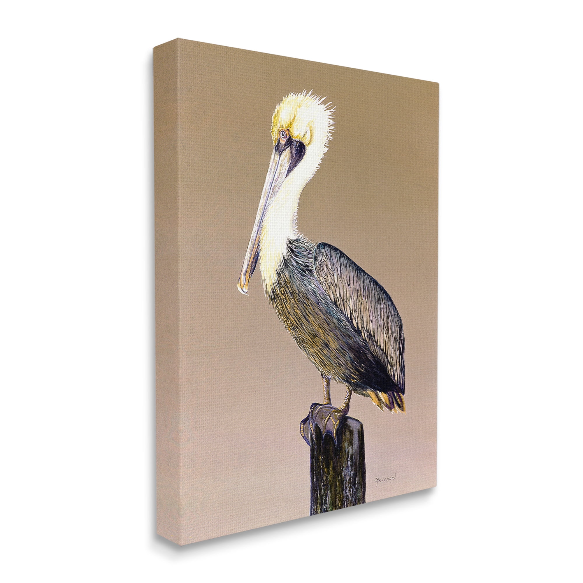 Stupell Industries Pelican on Perch Animals & Insects Painting Gallery Wrapped Canvas Art Print Wall Art, 24 x 30