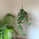 thumbnail image 5 of Decoración de Pared con Rosas, Plantas y Enredaderas Verdes, 5 of 7