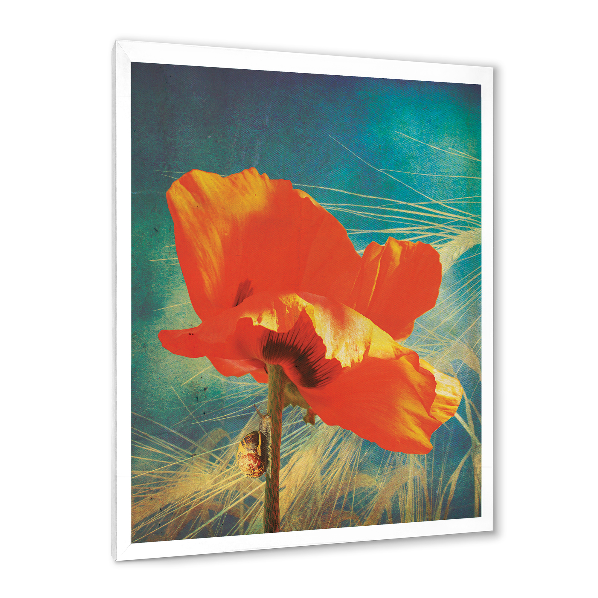 Designart 'Ancient Grunge Poppy' Traditional Framed Art Print