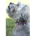 thumbnail image 2 of Country Brook Petz® 1 1/2 inch Deluxe Spirit of '76 Dog Collar, Extra Large, 2 of 6