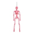 thumbnail image 2 of MInHoues 16" Halloween Hanging Skeleton Decoration, Realistic Posable Skeleton Prop for Haunted House Porch Courtyard Party Scene Display, Pink, 2 of 6