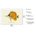 thumbnail image 2 of Nukunuku (Forcipiger Longirostris) - Hawaiian Longnose Butterflyfish - from Fishes of Hawaii - Vintage Hawaiian Color Postcard c.1905 - Fine Art Rolled Canvas Print (Unframed) 27in x 40in, 2 of 4