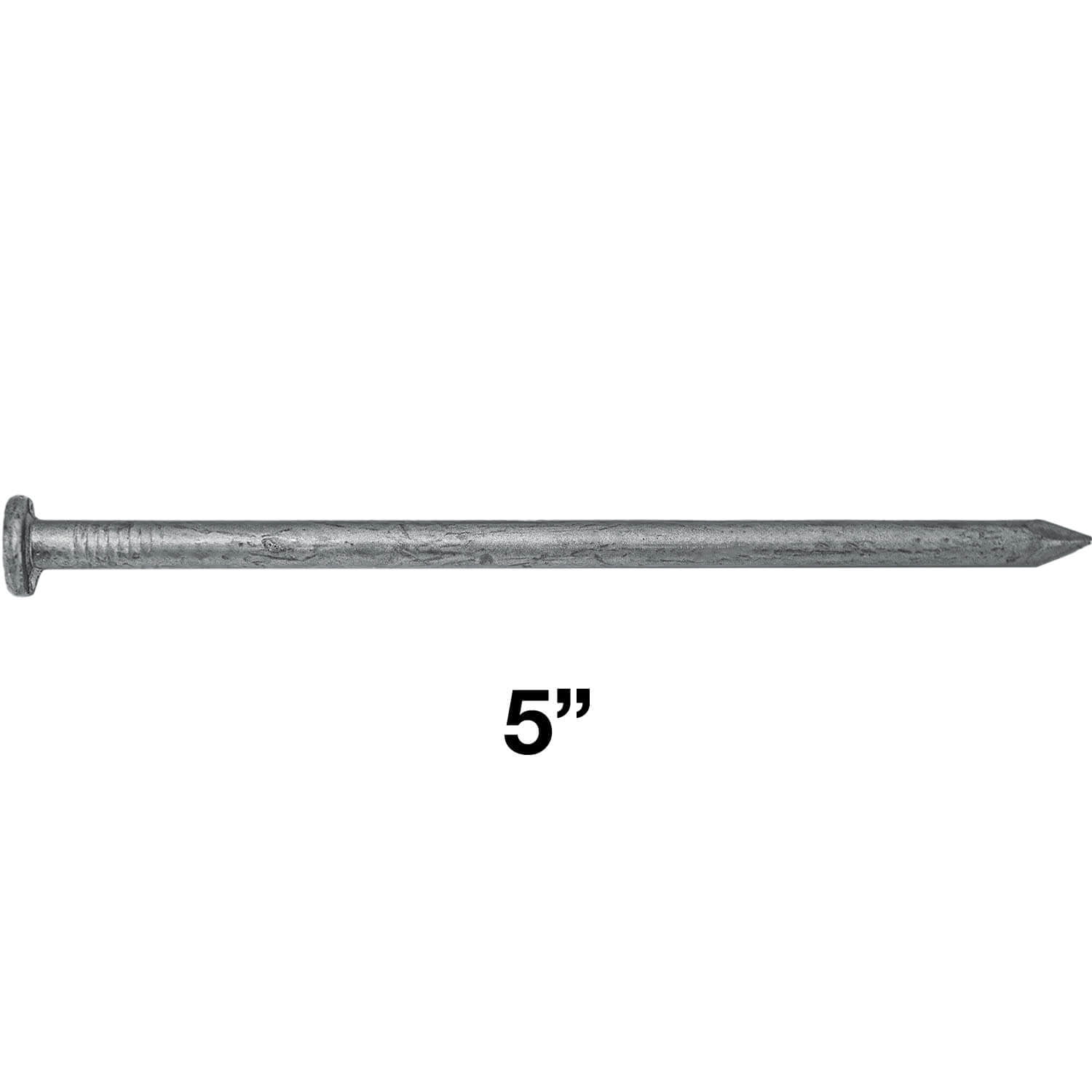 Jake Sales Brand 5" Exterior Hot Dipped Galvanized Common Framing Nail (40d) 20 Nails 1