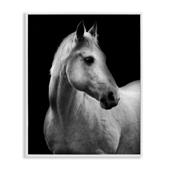 Stupell Industries Contemporary Horse on Black Portrait White Framed Giclee Art, 11 x 14, by Danita Delimont