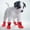 A, variant on Pet Supplies Water Shoes for Cats and Dogs - Protective Indoor Outdoor Booties for Small and Trailing Rainy Days 4PCS