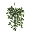 thumbnail image 4 of Planta Colgante Artificial con Hojas Realistas Ramas Colgantes Flexibles Follaje de Seda y Diseño Duradero Perfecta para Decorar el Hogar Fiestas O, 4 of 8