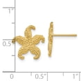 thumbnail image 2 of Primal Gold 10 Karat Yellow Gold Starfish Post Earrings, 2 of 4
