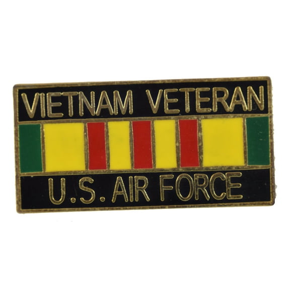 VIETNAM VET USAF HAT PIN