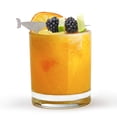 thumbnail image 1 of Raw Rutes - Pics Martini en Acier Inoxydable - Ensemble de Pics Martini Narval - pour Parfaits Manhattans, Old Fashions, Martinis et Plus! Pics Cocktail Nautiques - Acier Inoxydable - Fabriqué aux États-Unis, 1 of 5