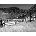 thumbnail image 2 of Scott Larson 32x26 White Modern Wood Framed Wall Art Titled - Summer Corral I, 2 of 5