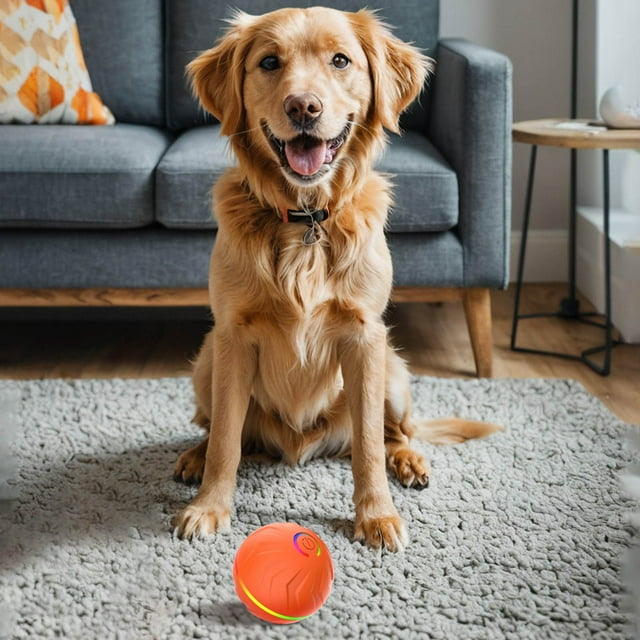 LLQkigsxse Jouet Interactif pour Chien à l'Épreuve des Mâchouillements, Jouet de Noël Automatique pour Chat, Jouet Interactif pour Chien Auto-Roulant, Jouet Intelligent à Distance pour Intérieur et Extérieur