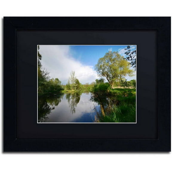 Trademark Fine Art "Rise Above" Canvas Art by Philippe Sainte-Laudy, Black Matte, Black Frame