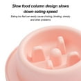 thumbnail image 3 of Slow Feeder Cat Bowls,Raised Cat Bowl Fun Pet Feeder Bowl, Improves Digestion Pet Bowl, 3 of 5