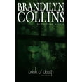 thumbnail image 1 of Pre-Owned Brink of Death (Paperback) 0310251036 9780310251033, 1 of 1