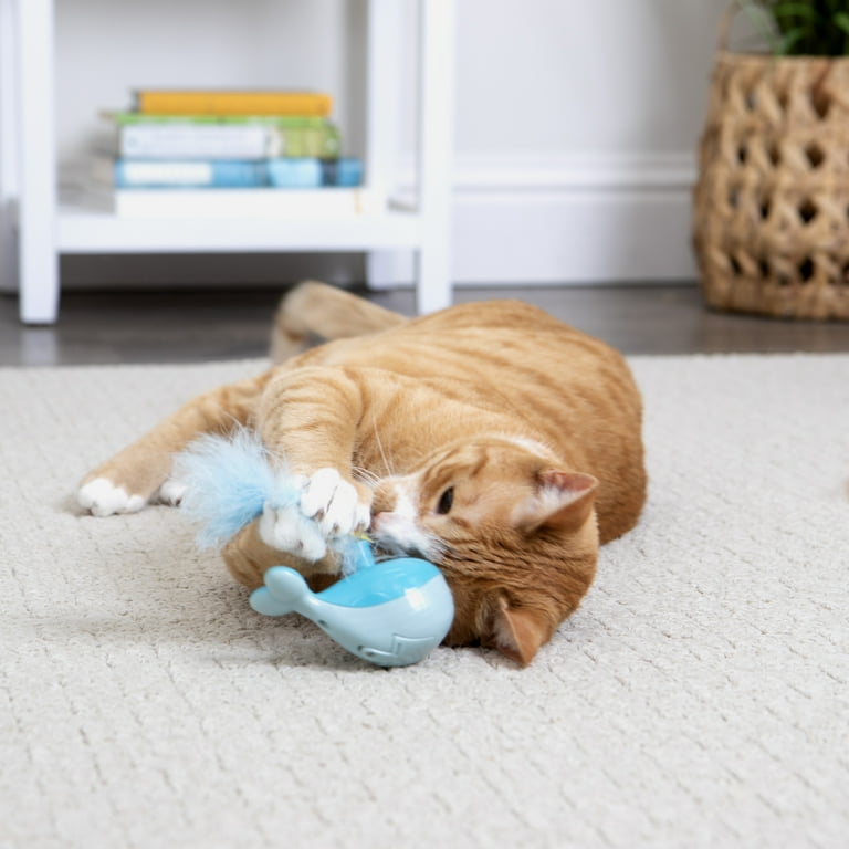 Cat best sale spin toy