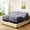 Massage Adjustable Bed Frame +12" Gray Mattress, variant on Split King Adjustable Bed Frame Massage with Mattress Head and Foot Lift, Head-Pillow-Tilt, Smart APP Control, Zero Gravity, Anti-Snore, Wireless Remote and USB Charging Ports