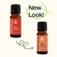 thumbnail image 6 of Plant Therapy Germ Fighter Essential Oil Blend 100% Pure, Undiluted, Natural Aromatherapy 100 mL (3.3 fl oz), 6 of 9